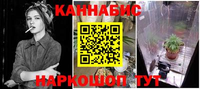 гашик Пенза